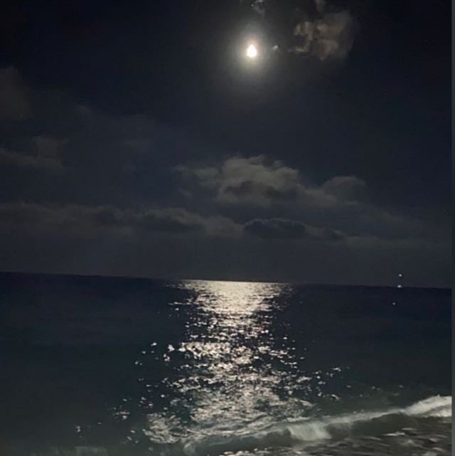 نور العنزي