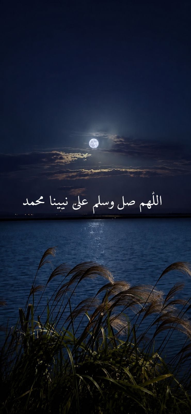 محمد شعبان