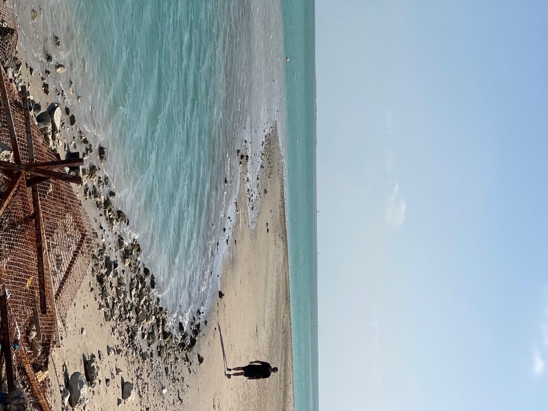 افراح الدهامي