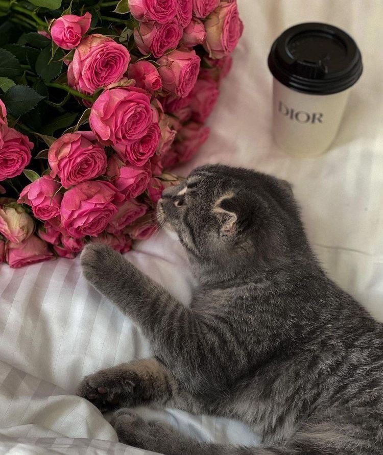 ابتسام حسون