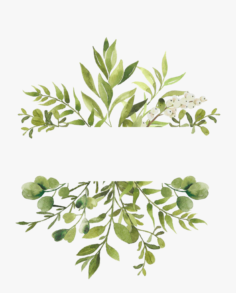 امينه المطيري