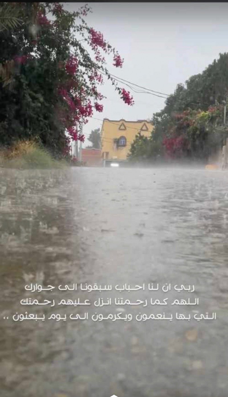 شوق الناشري