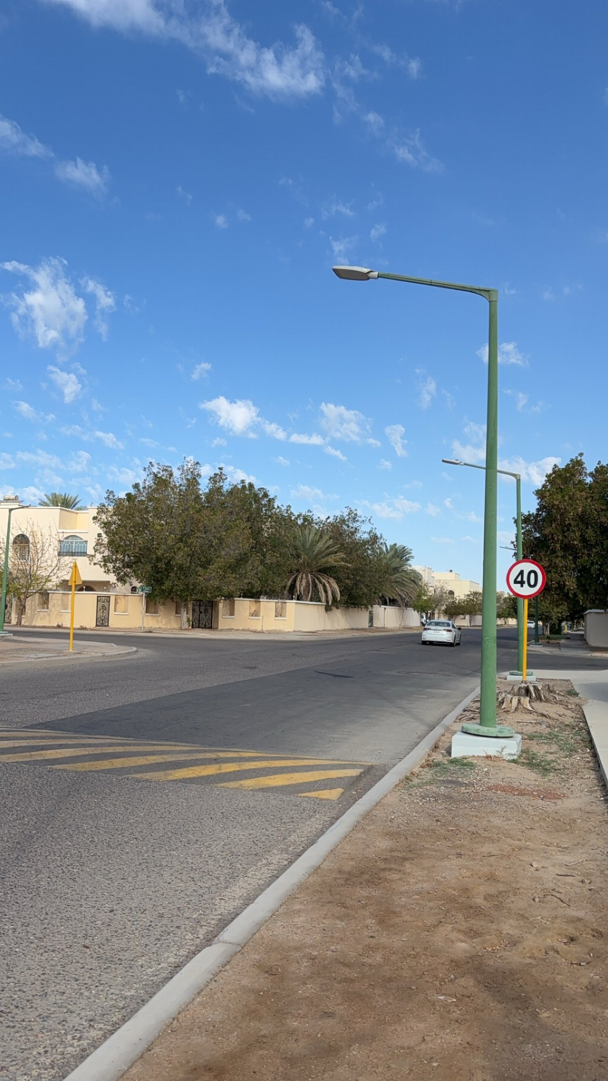 بسام العسيري