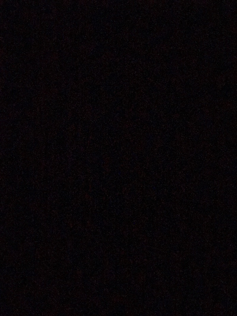 مريم المحمدي