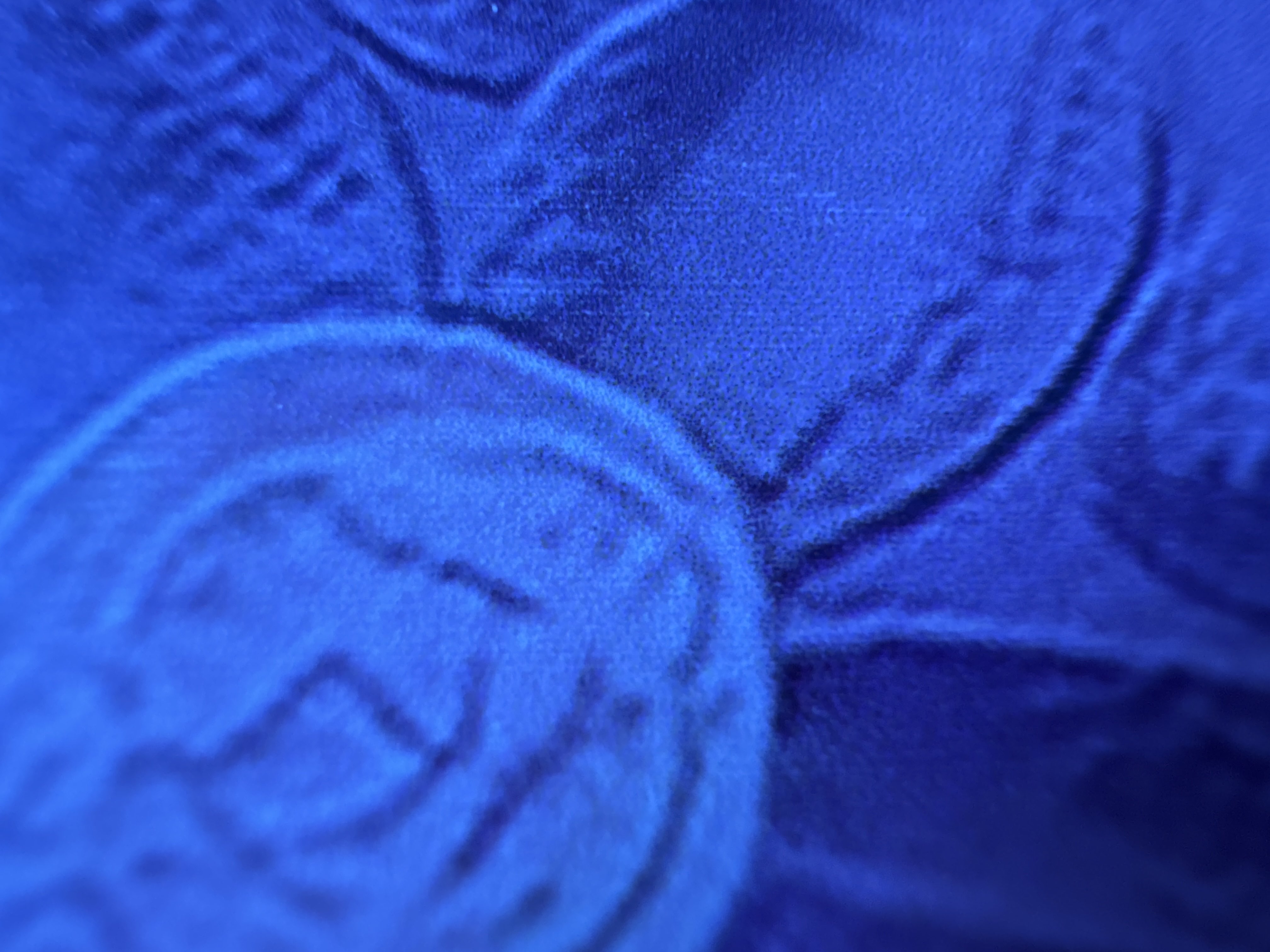 خلود خبراني