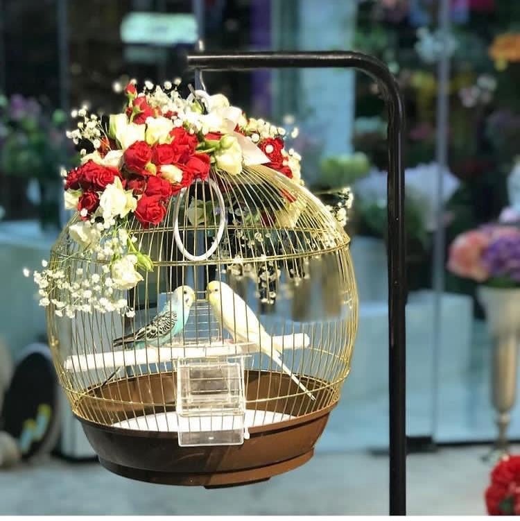 Omar Sadeg Al shareef