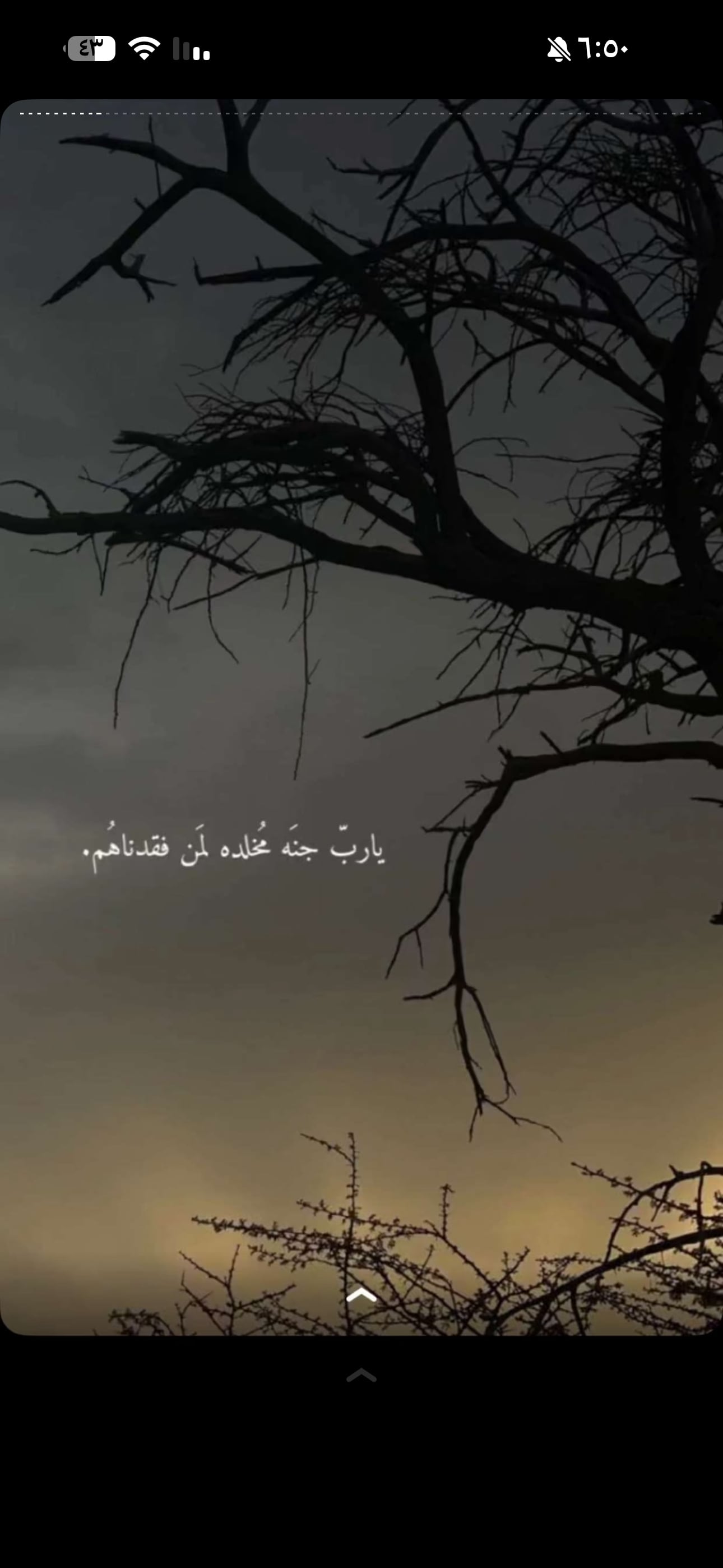 فوزه الشمري