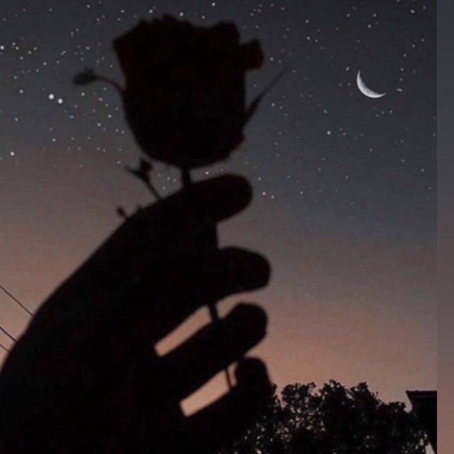 بشرى الجهني