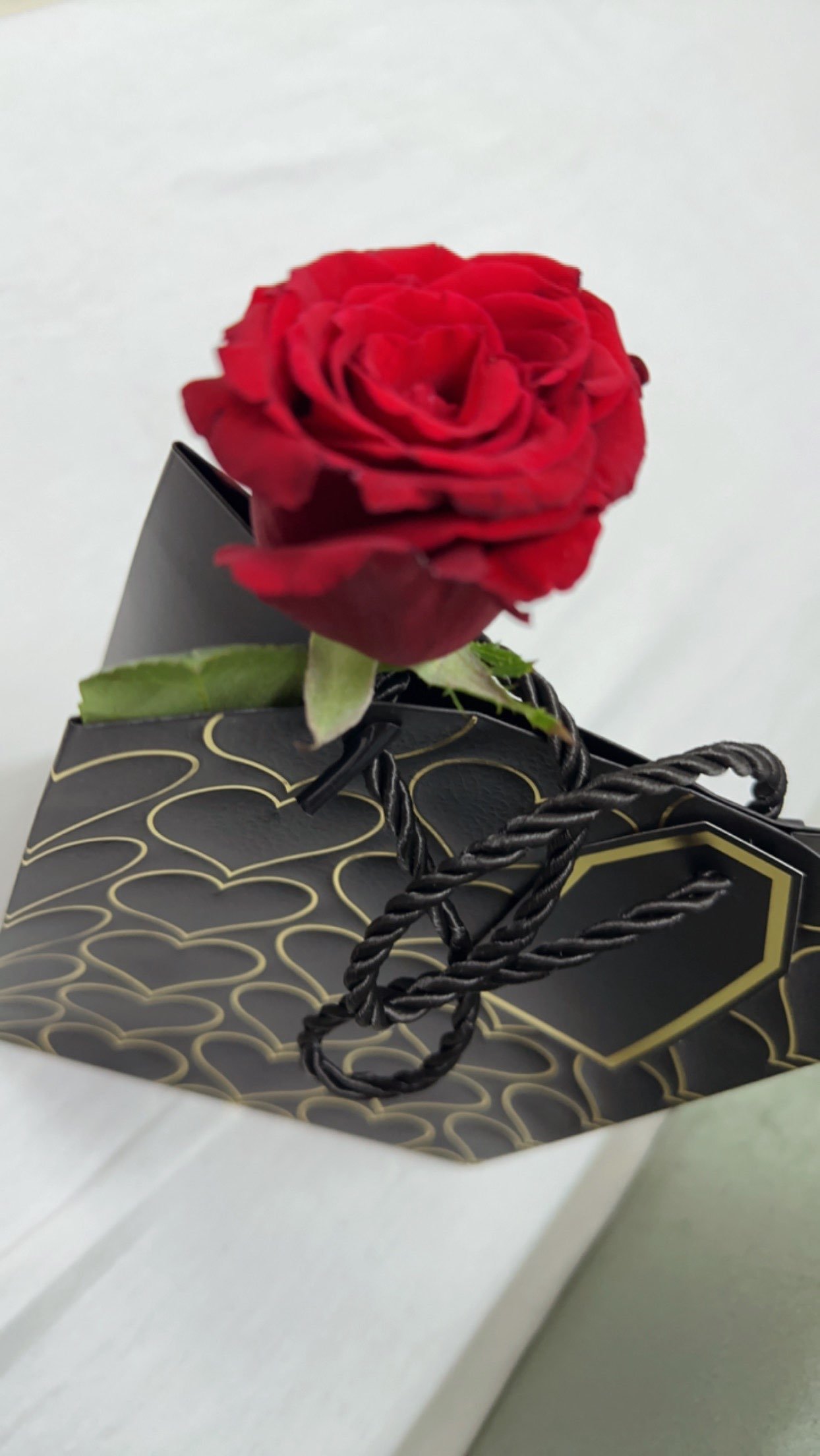 ميزو الحارثي