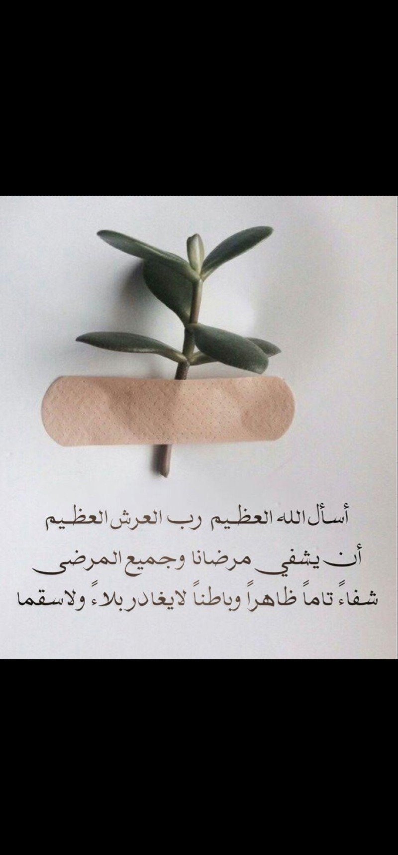 سعيد  حامد الغامدي