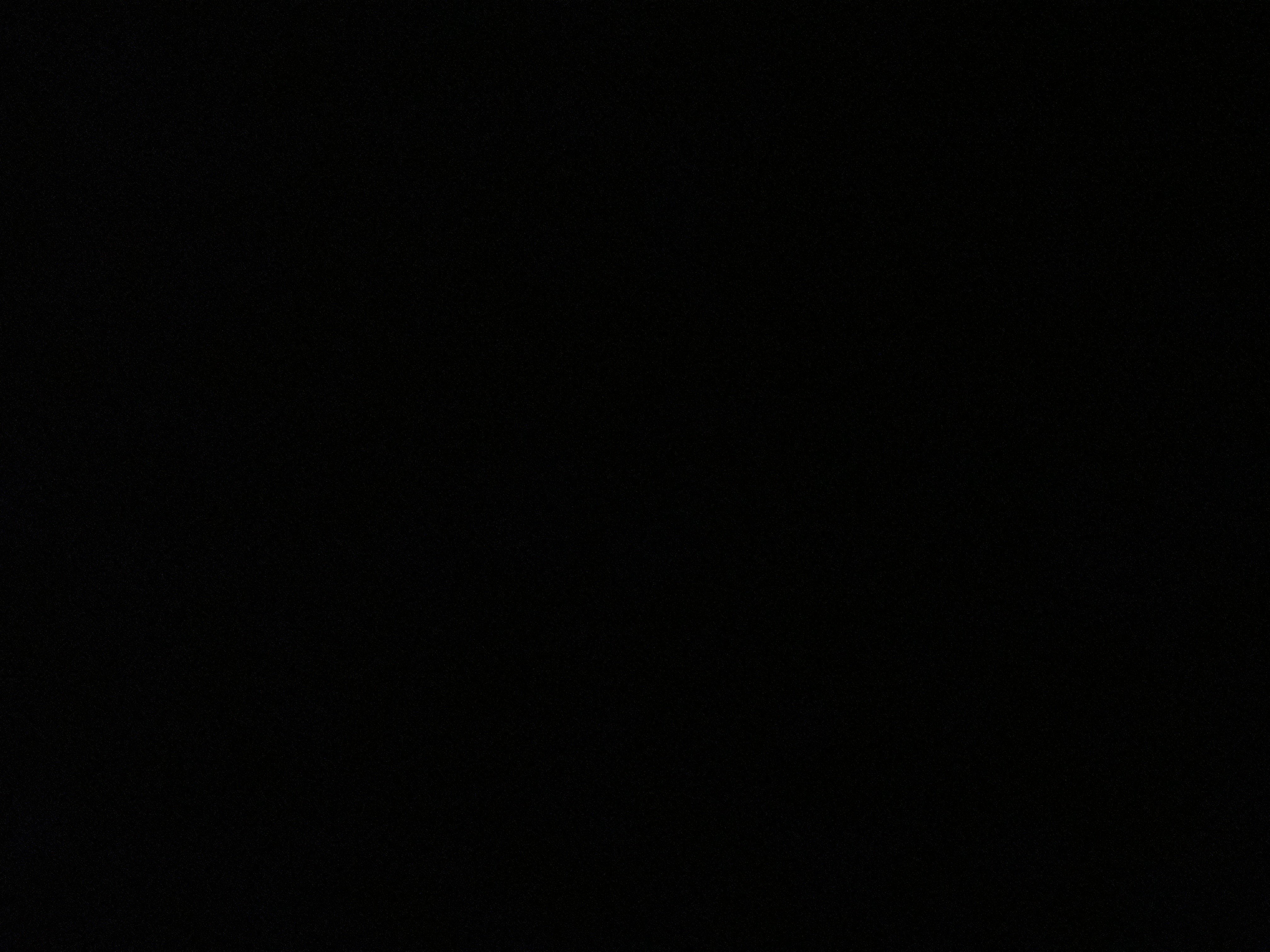 سجى آل فاضل