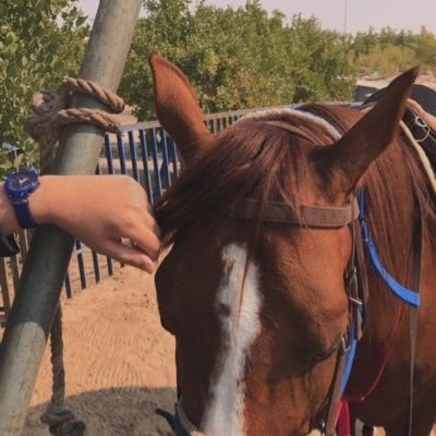 زهور عبدالله