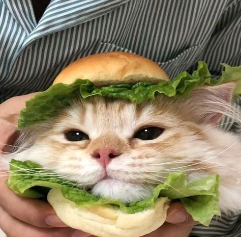 جُمانة محمد