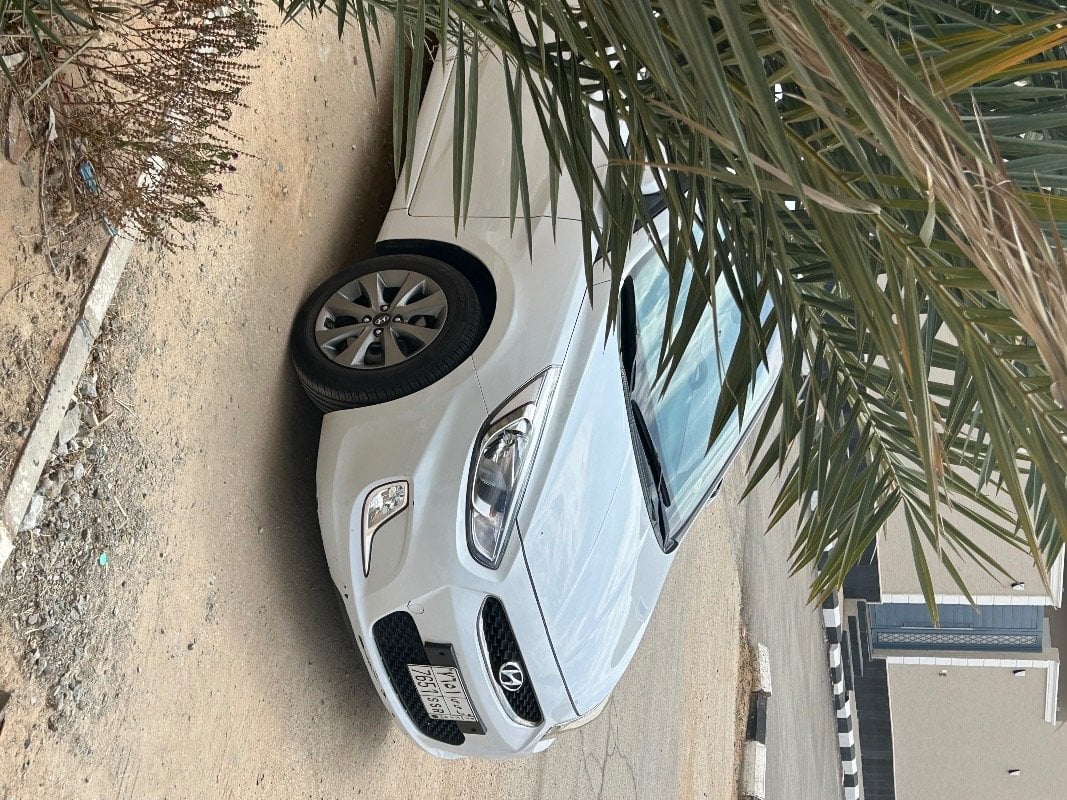 محمد السهلي