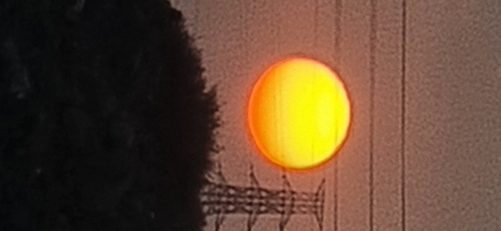 نايف الرشيدي