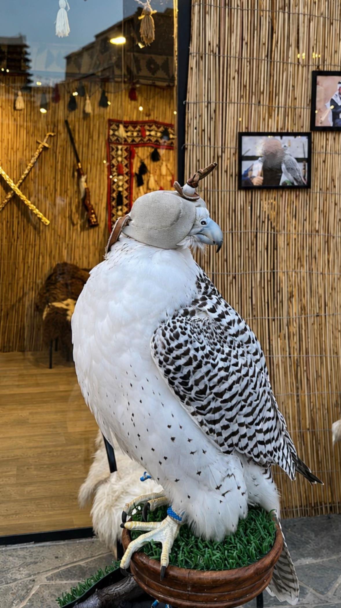 عبدالله القحطاني