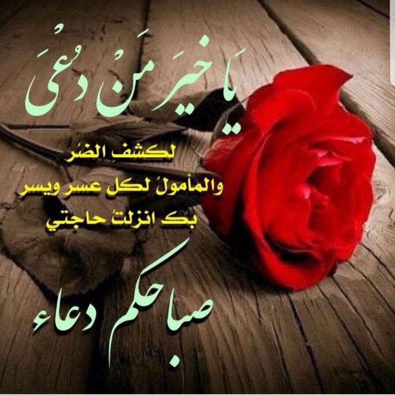 مرفت الخضير