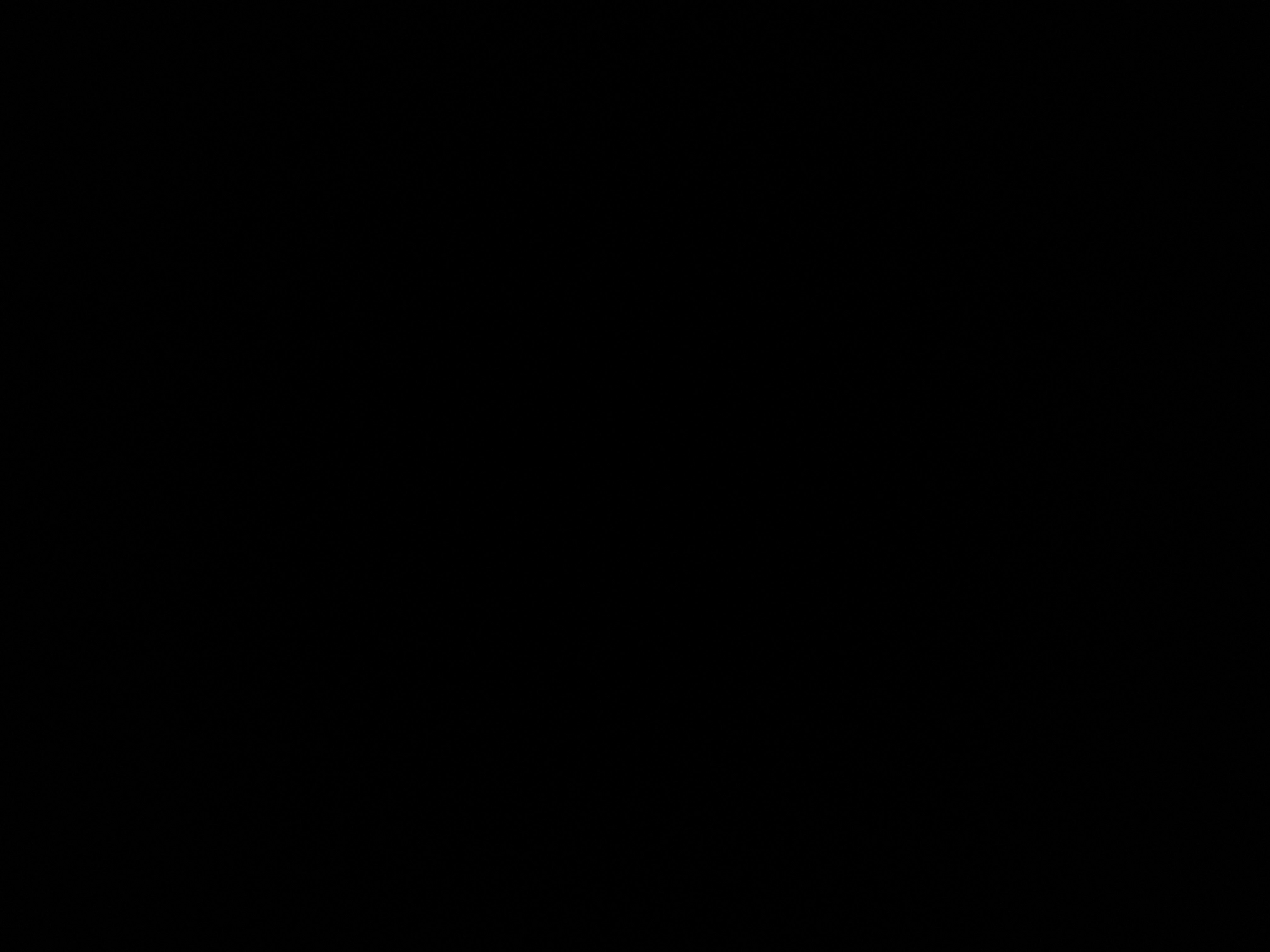 عدنان القصيّر