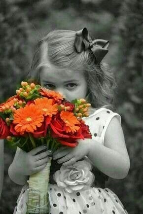 تركيه الشمراني