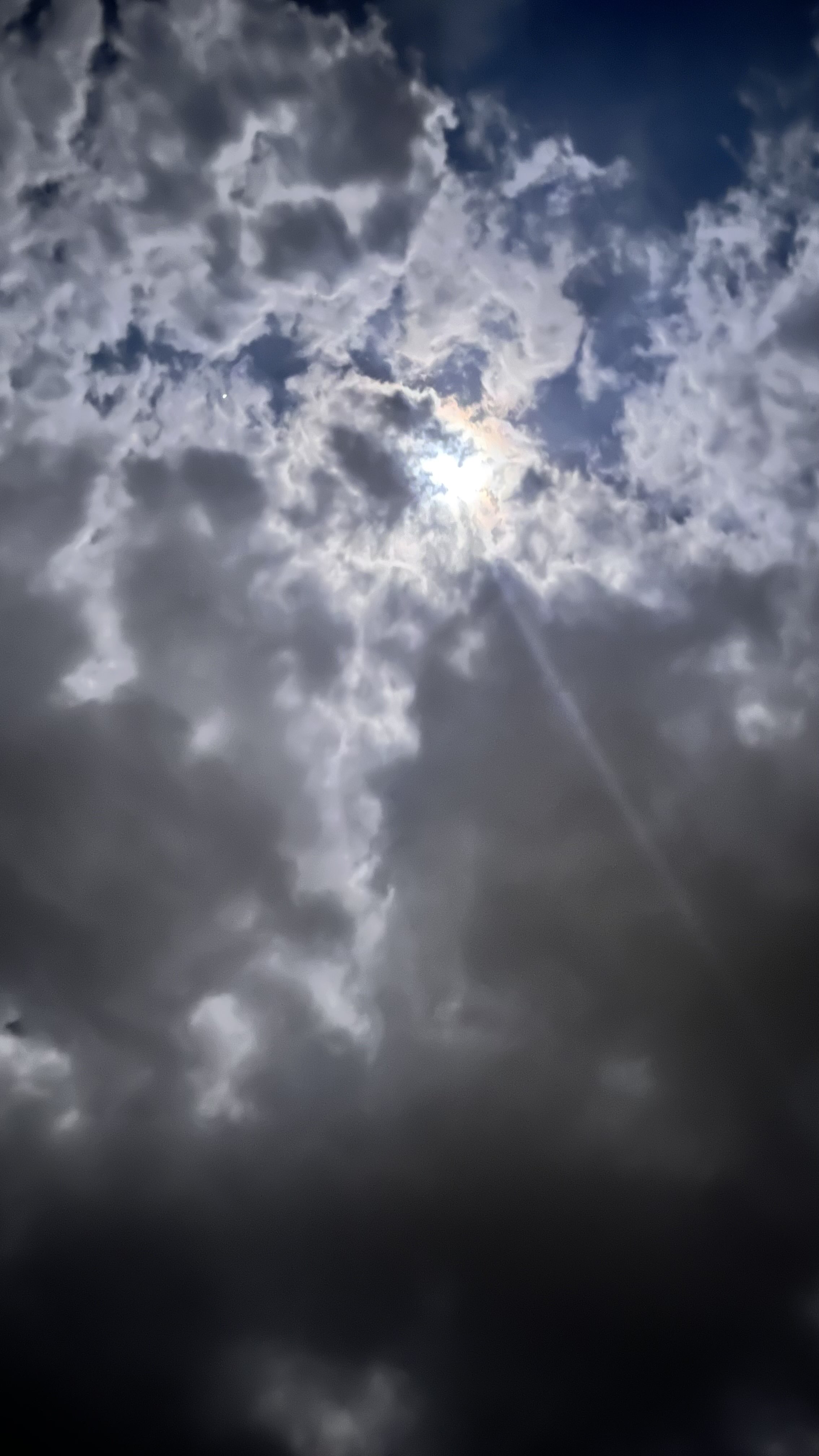 شروق سليمان