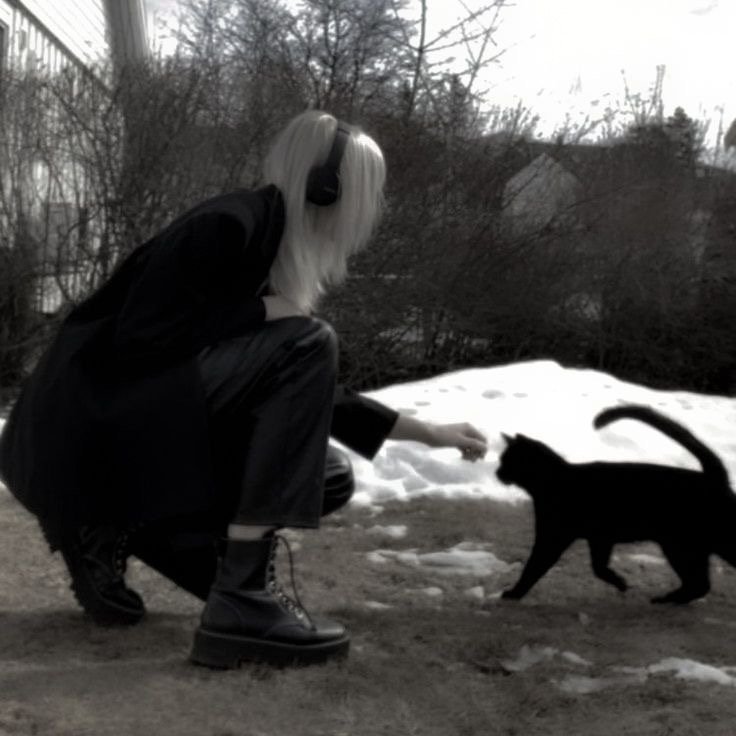 فوفو الحارثي