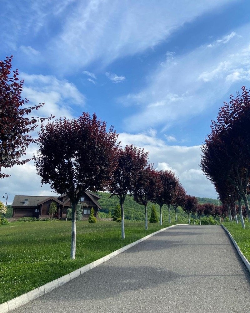 أسامة المطيري