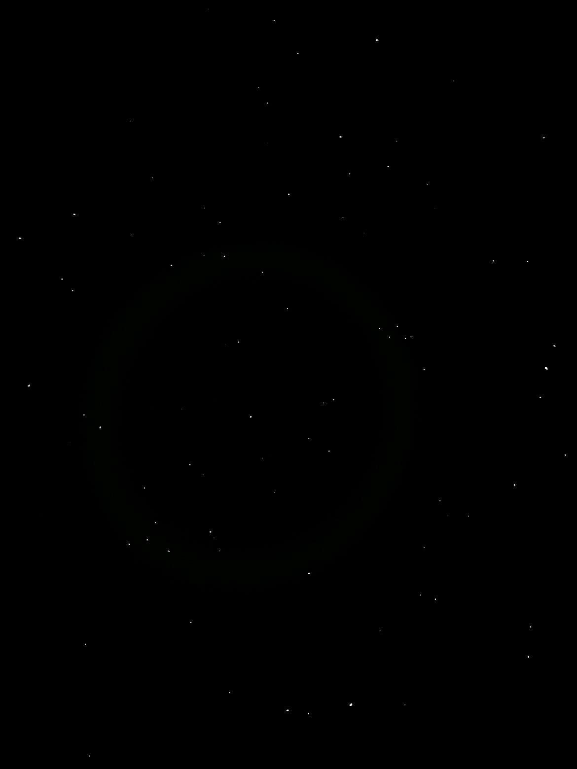 تهاني الغامدي