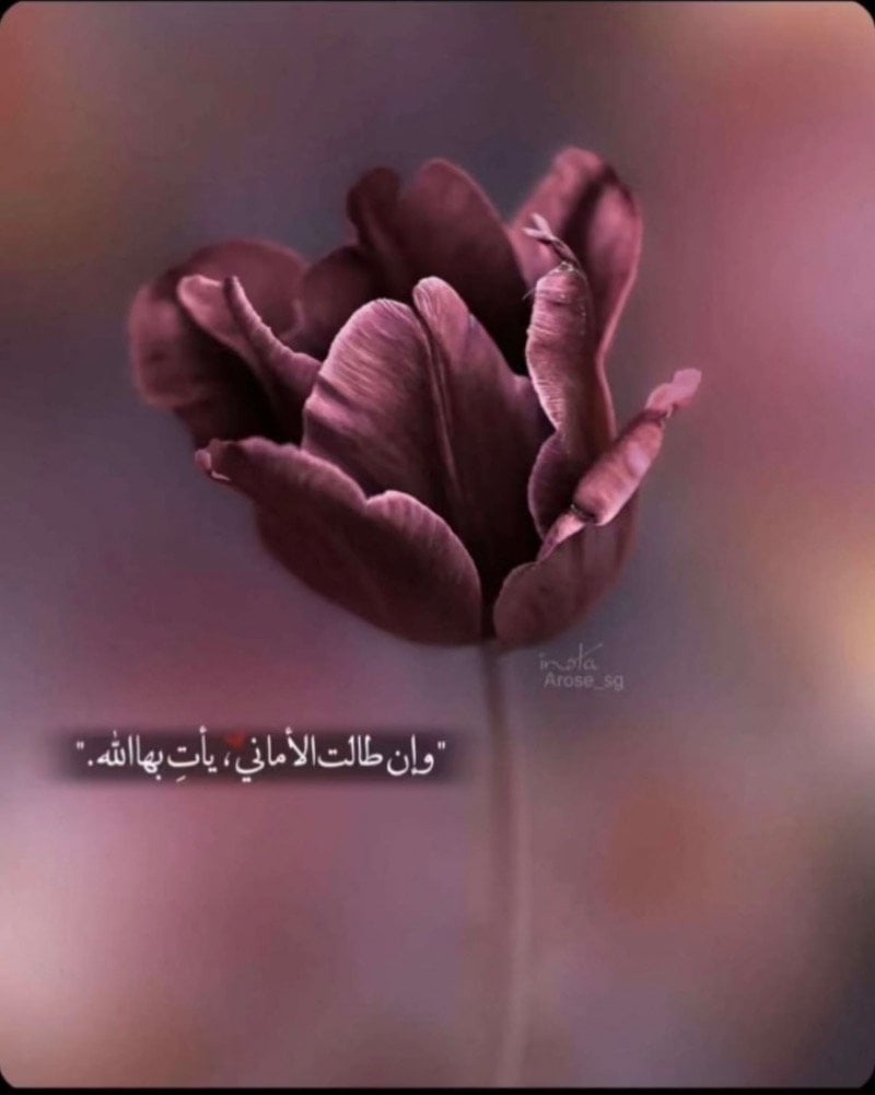 رحاب 