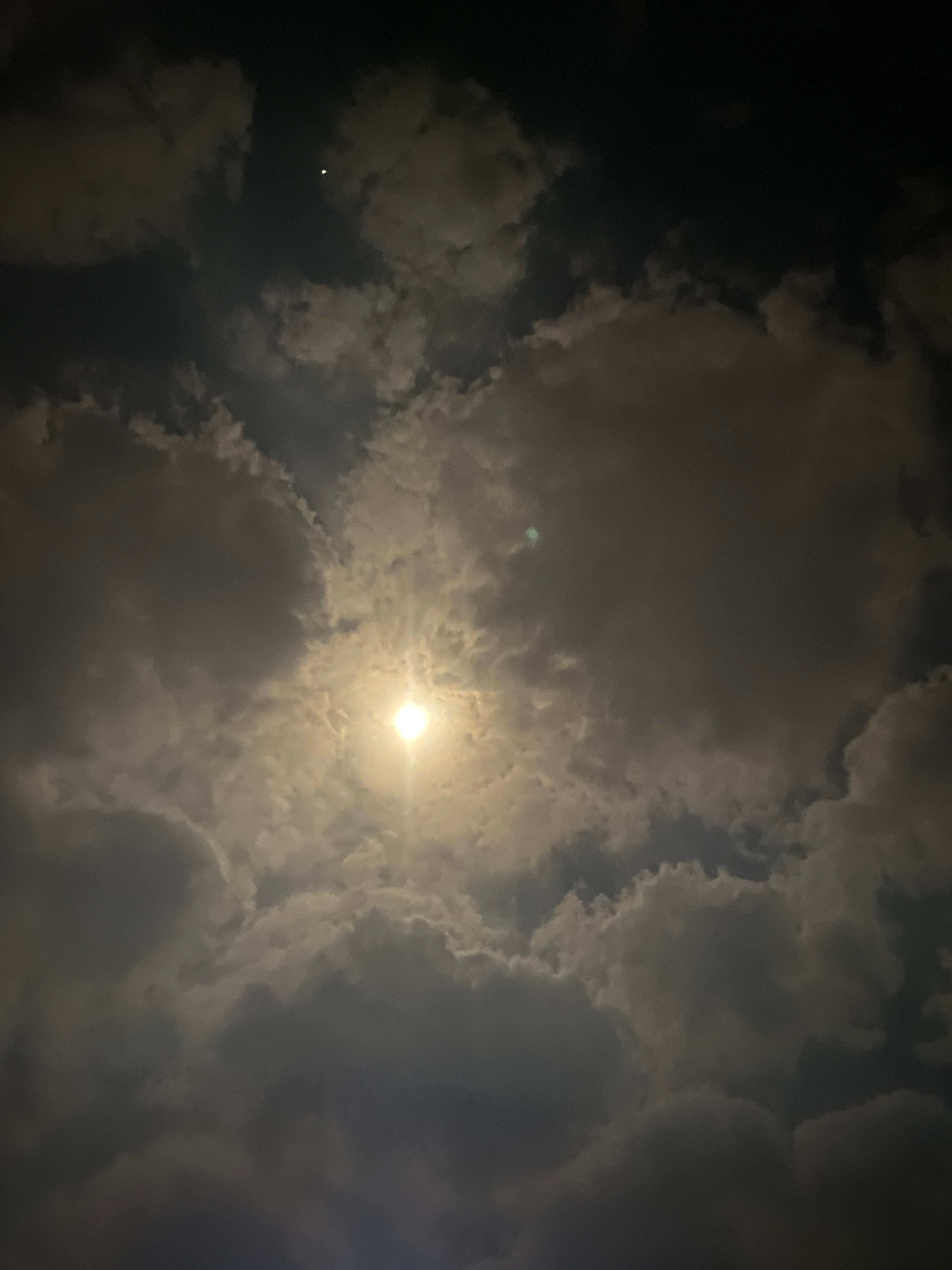شموخ العجمي