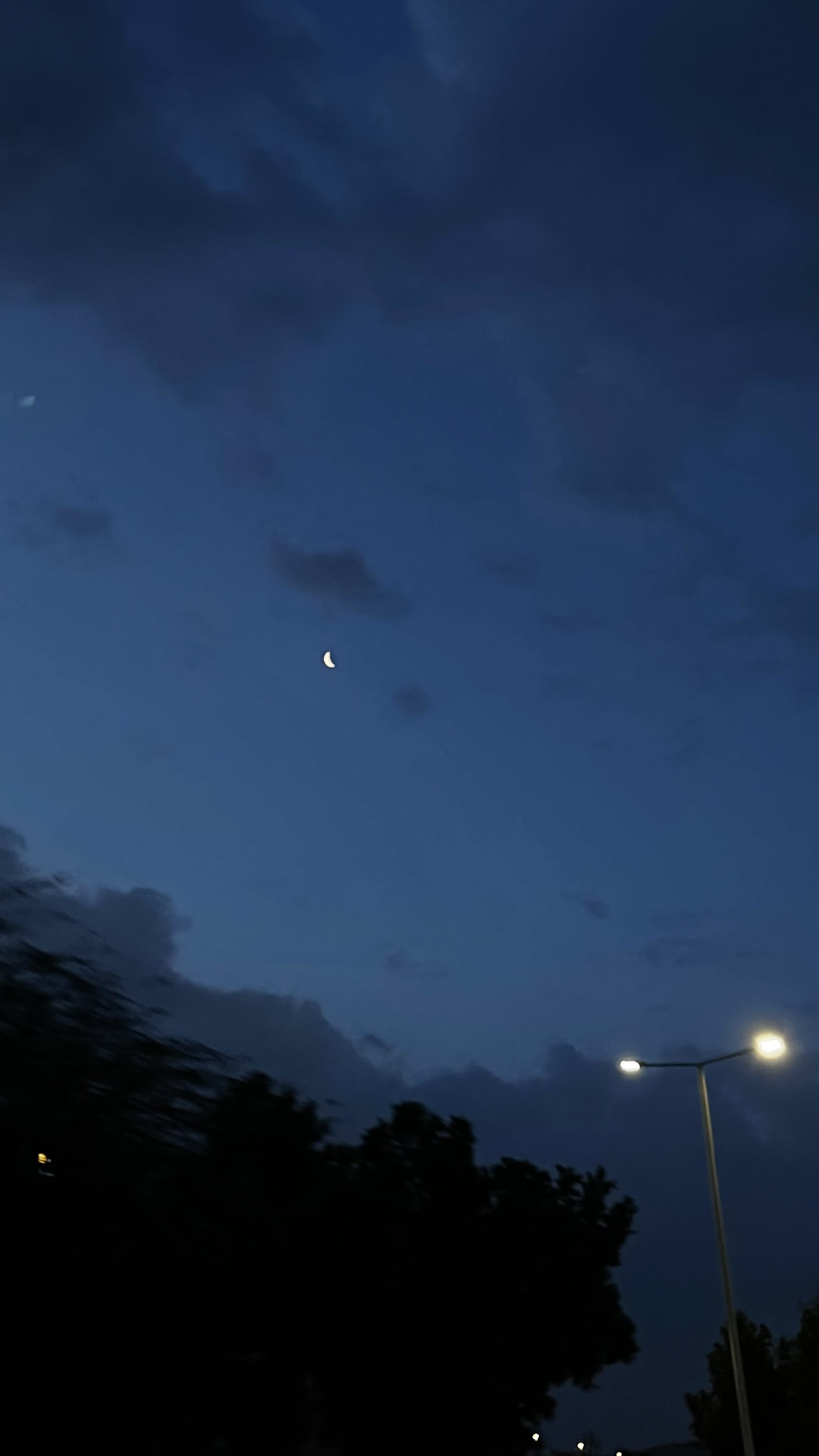 شهد علي_