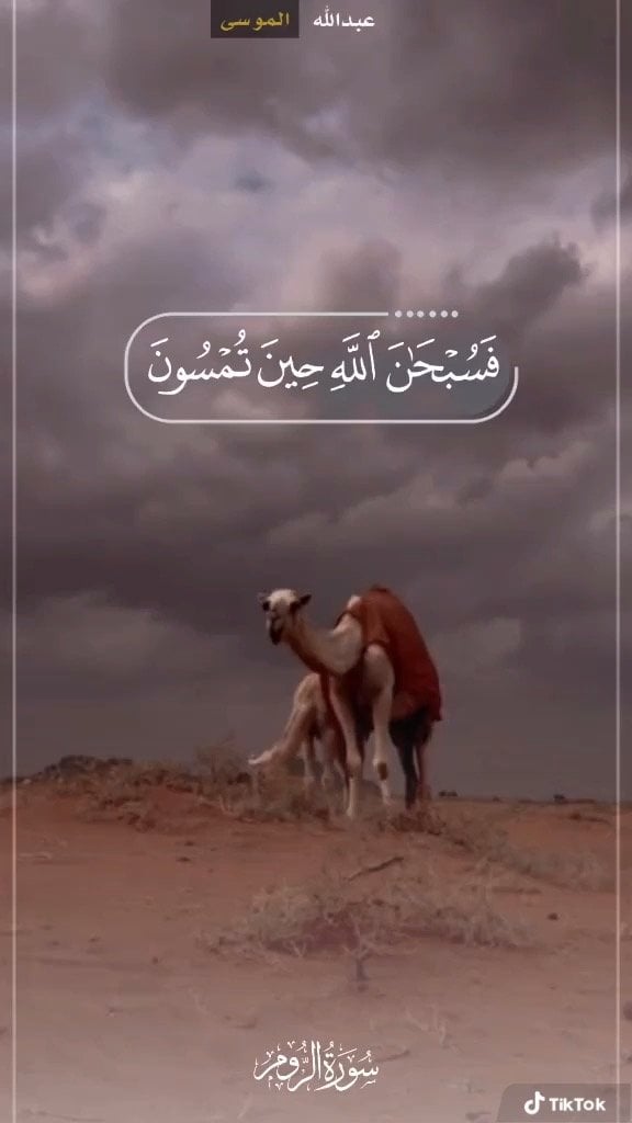 الحسن عسيري