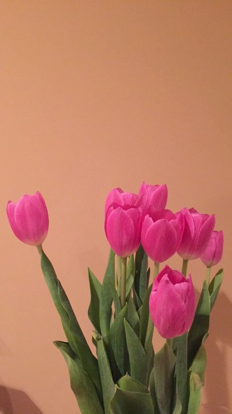 نادية باجنيد