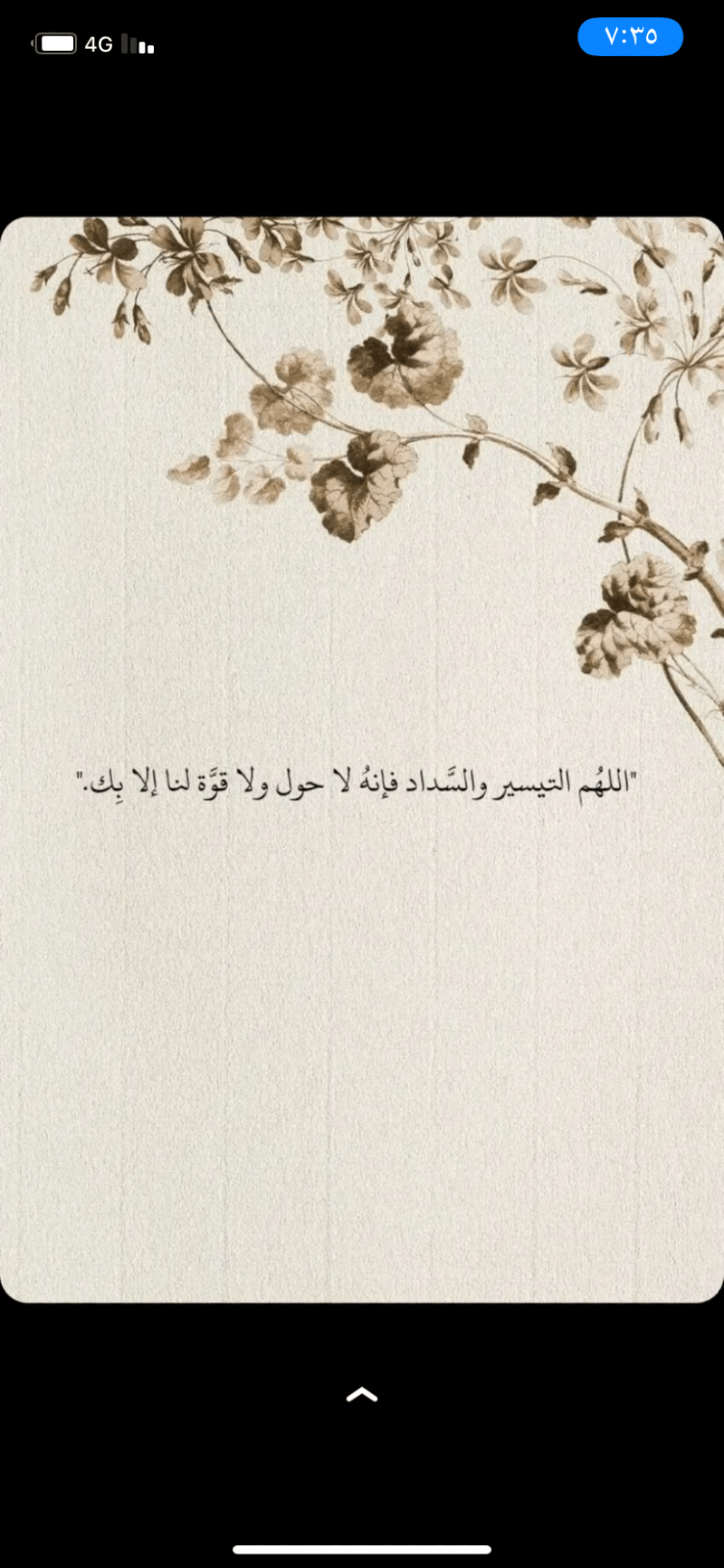 خلود الحارثي