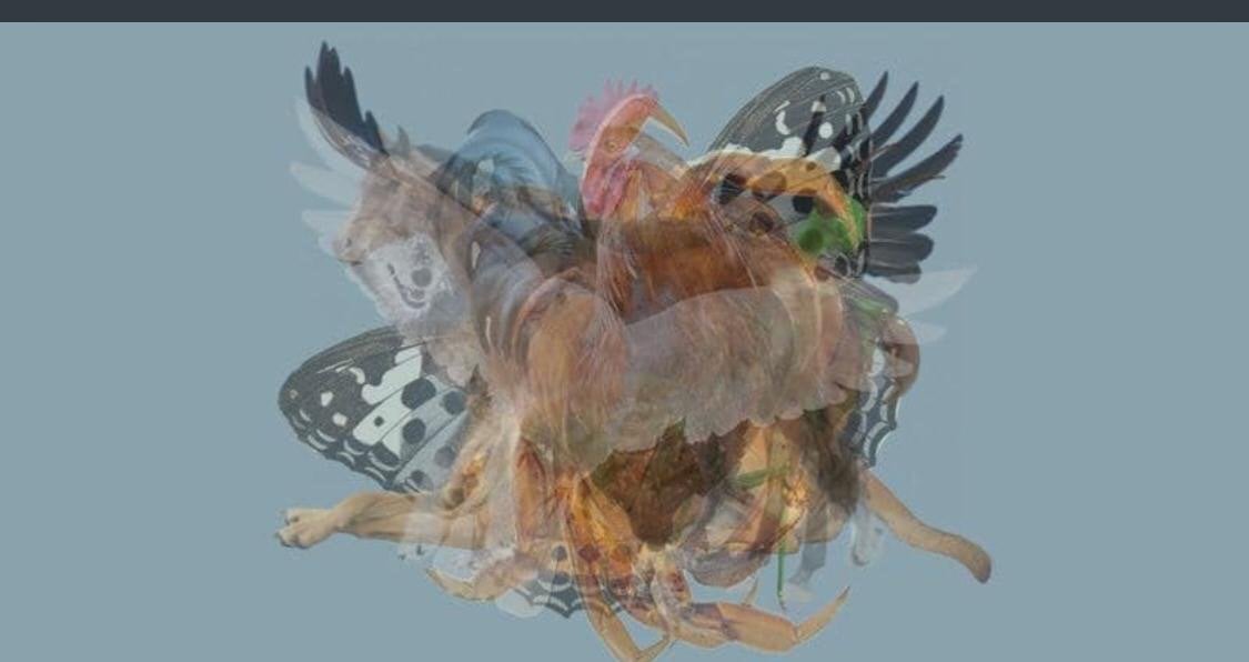 ماجد عبده رياني