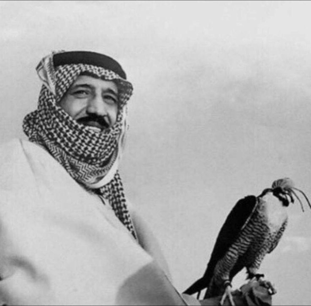 نواف الشمري