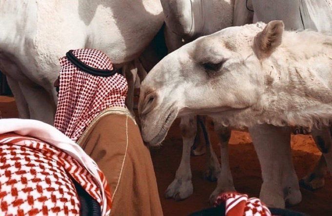 صلاح السحيمي