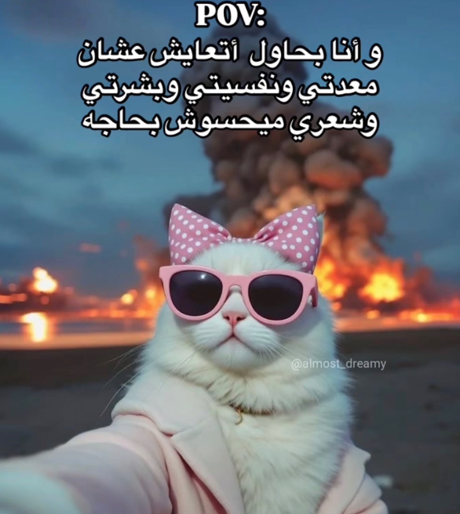 تغريد الشمري