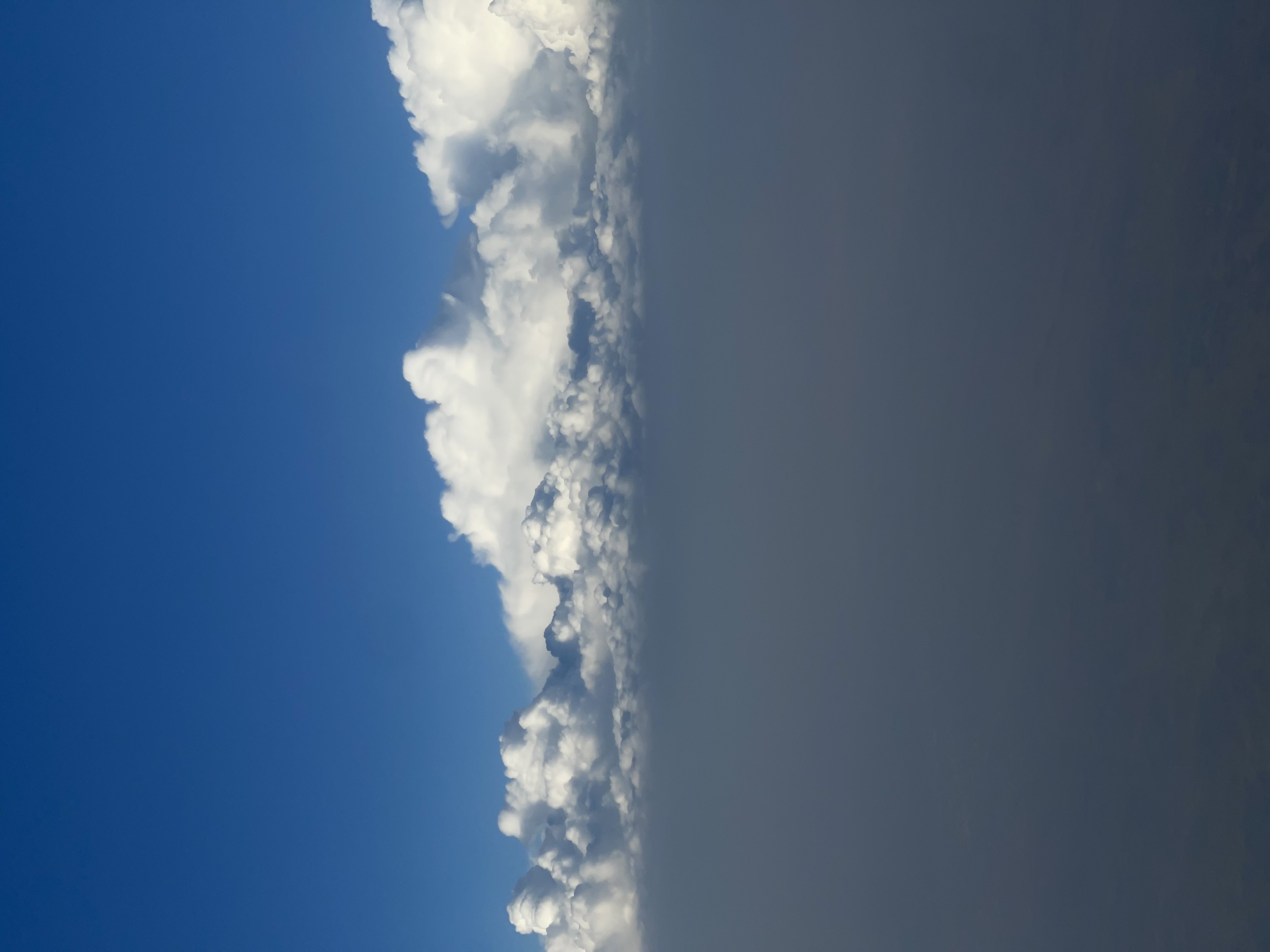 عواطف الغامدي