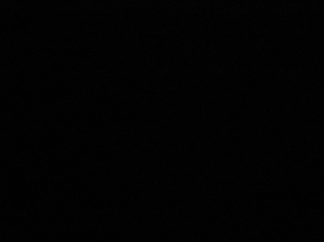 وليد العنزي