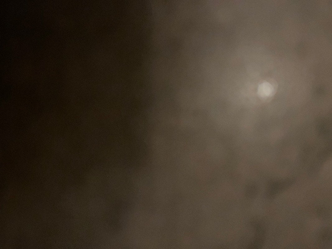 علياء المطيري