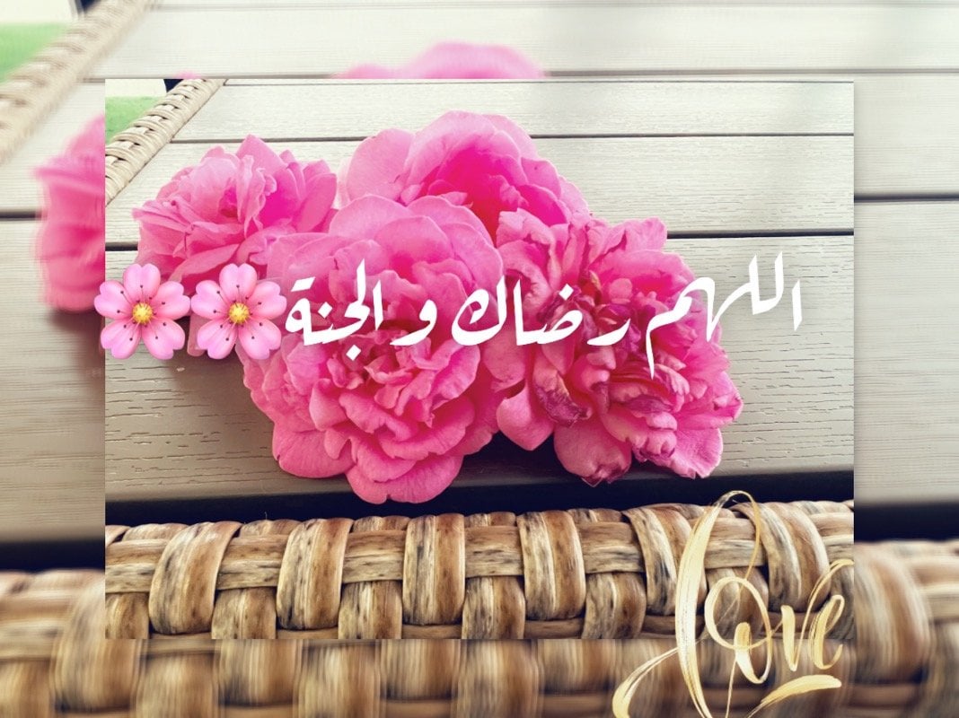 ميثا الحربي