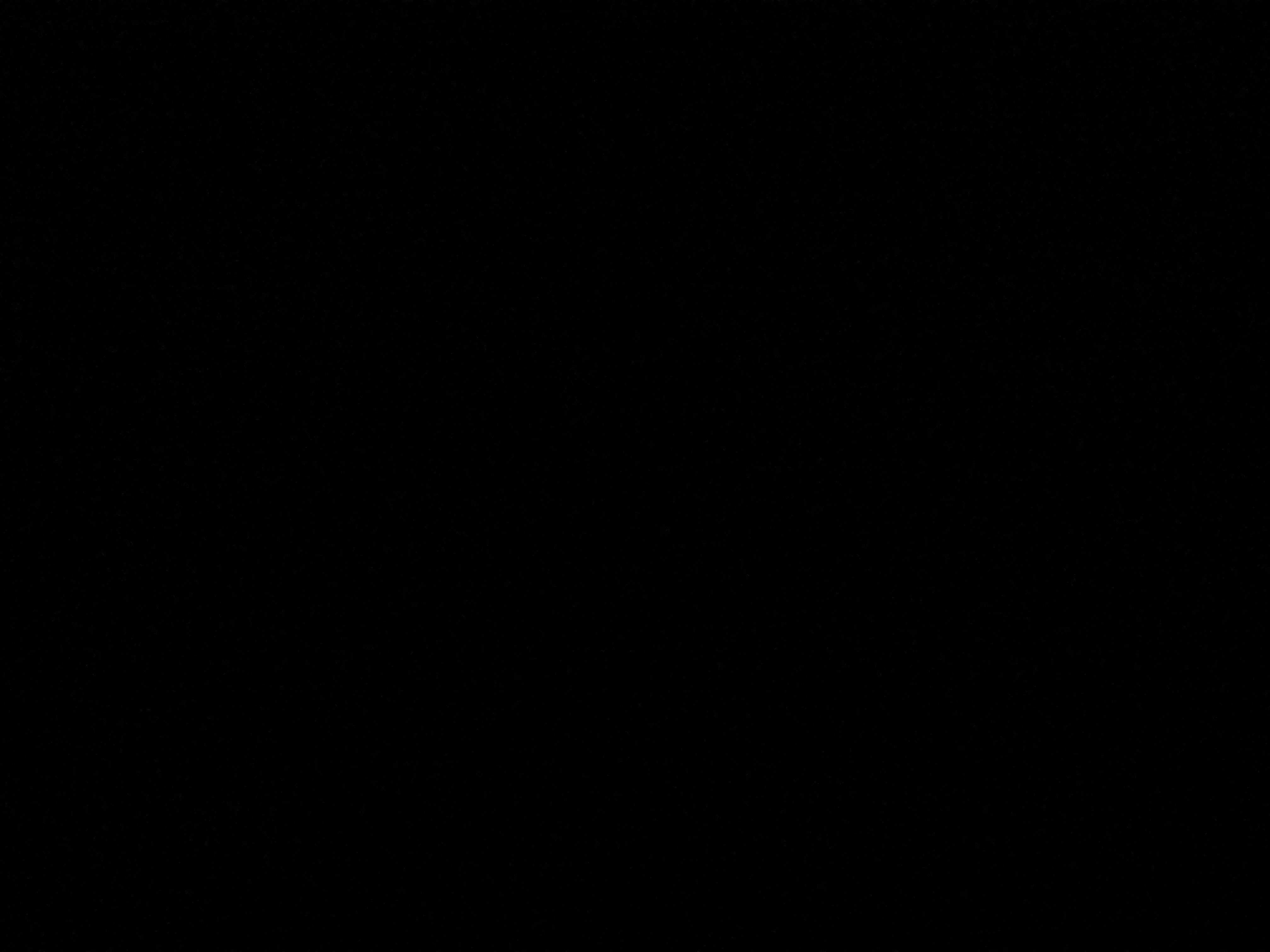 عبد العزيز الحربي