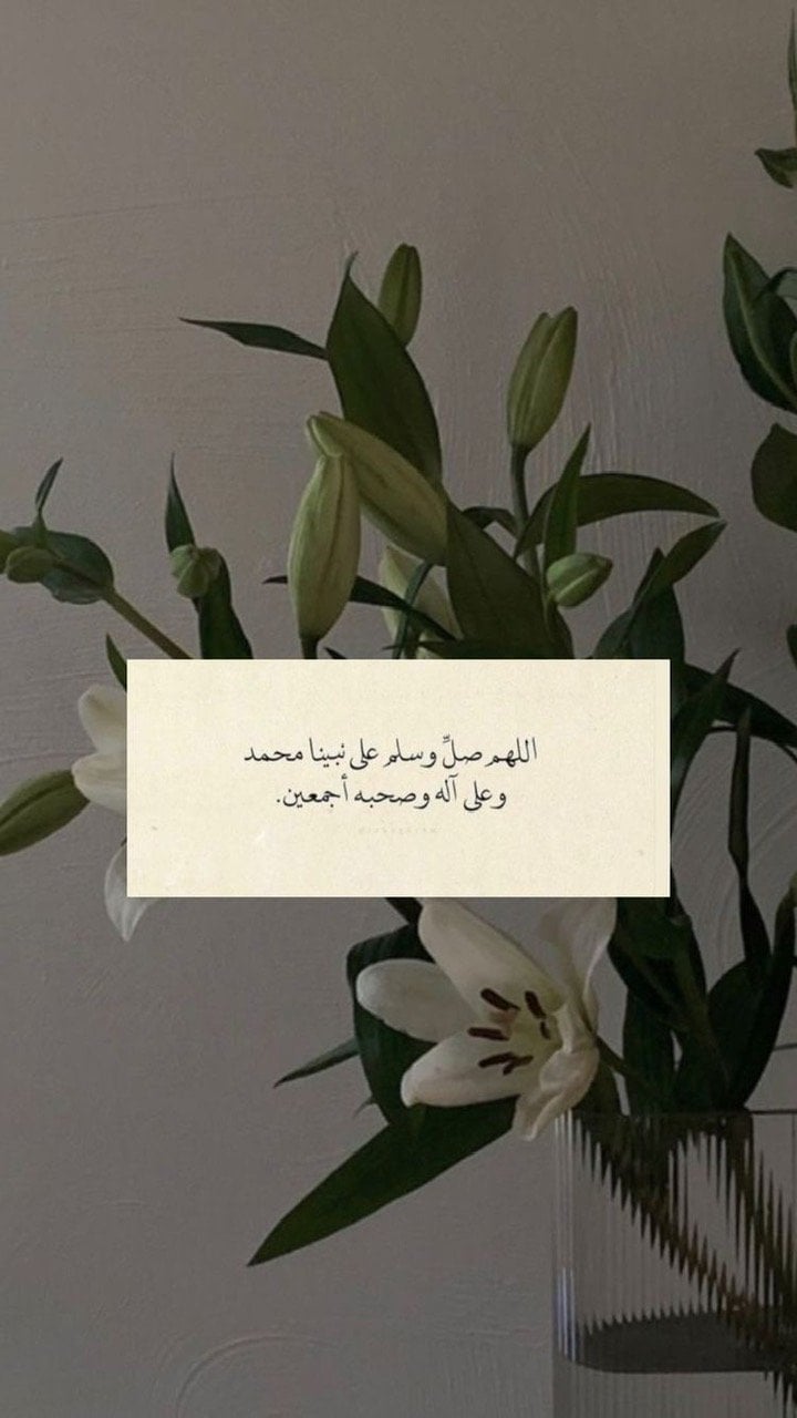 محمد العفيفي