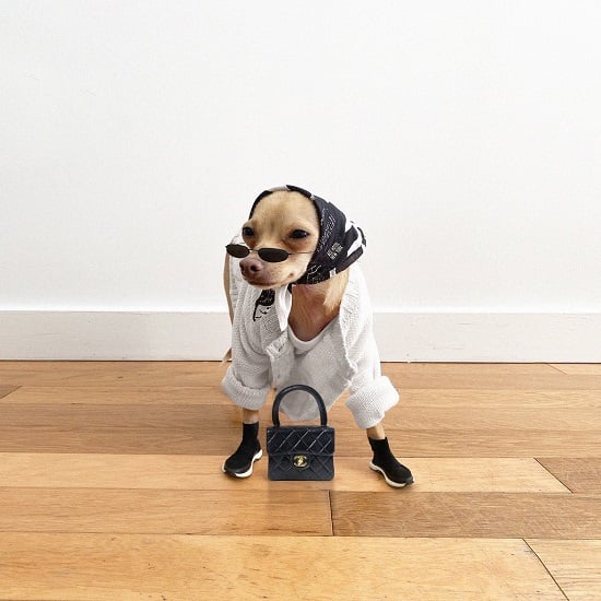 مشاري المطيري