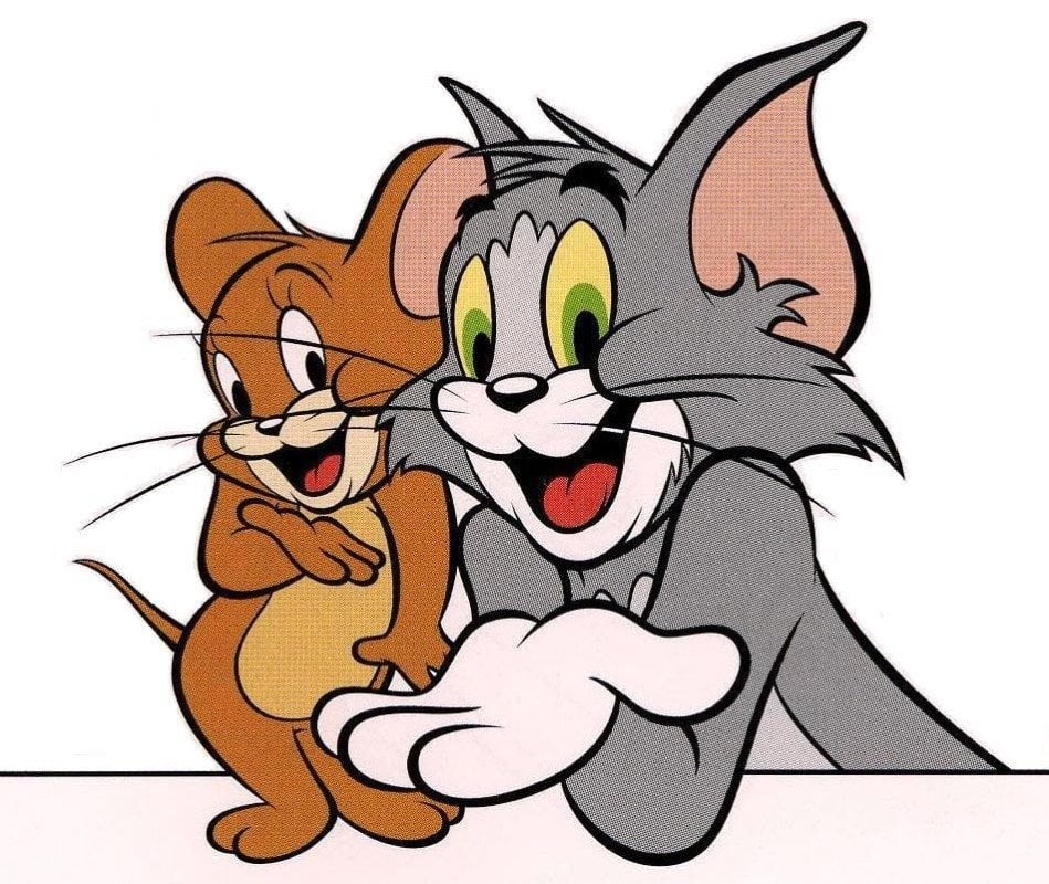 محمد الحسين