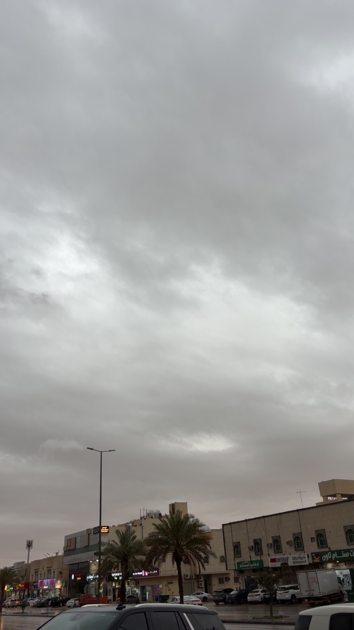 سعود الجربوع