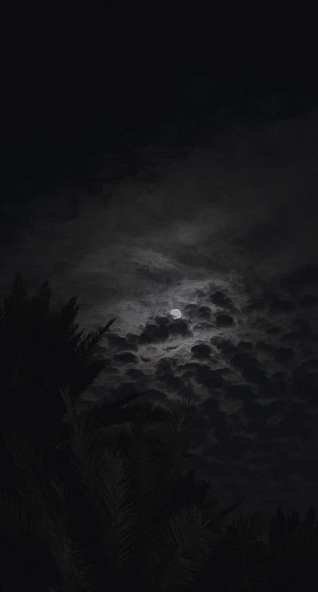 رهام العتيبي