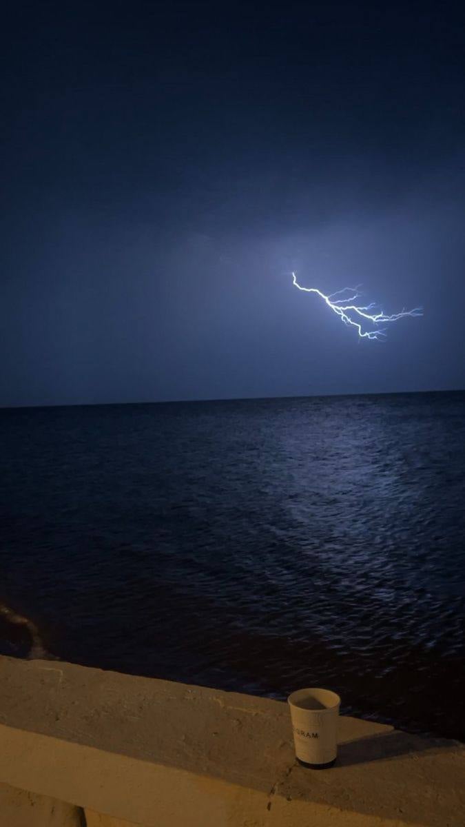 ماجد الحربي