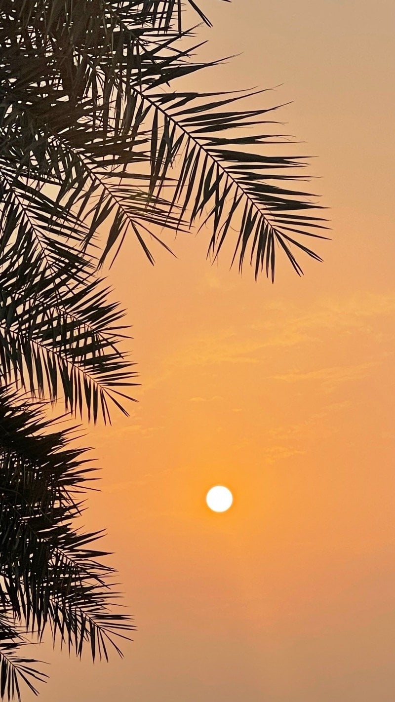 علي النعمي