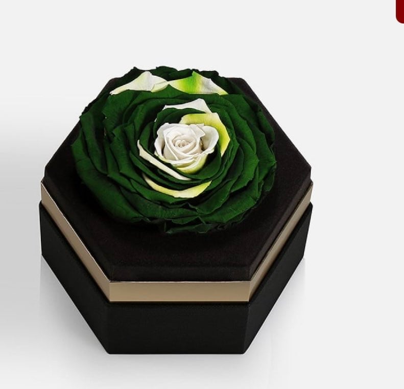 ثمراء الشهراني